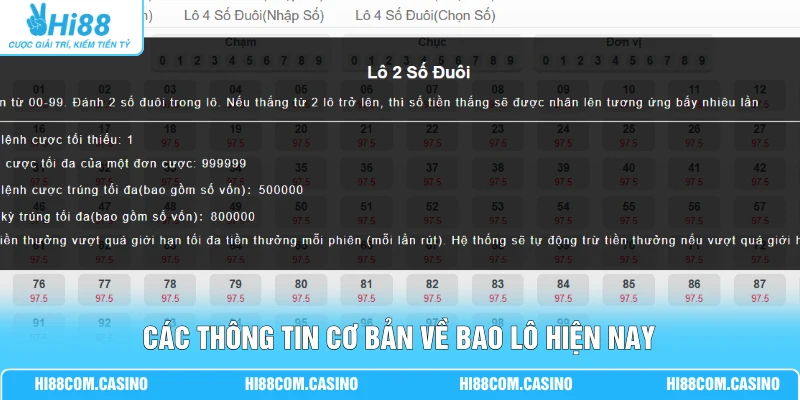 Các thông tin cơ bản về bao lô hiện nay
