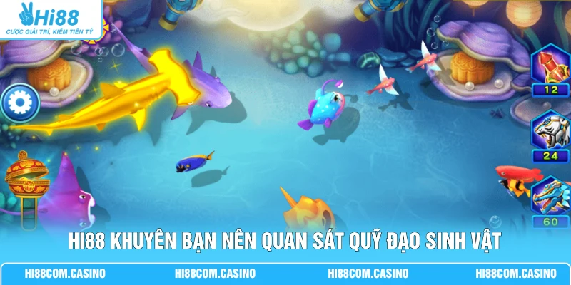 Hi88 khuyên bạn nên quan sát quỹ đạo sinh vật