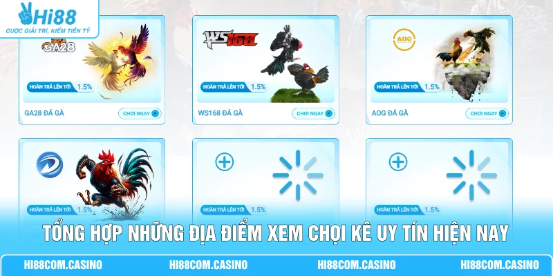 Tổng hợp những địa điểm xem chọi kê uy tín hiện nay