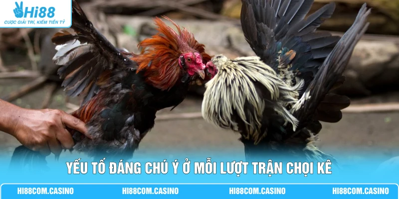 Yếu tố đáng chú ý ở mỗi lượt trận chọi kê